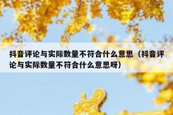 抖音评论与实际数量不符合什么意思（抖音评论与实际数量不符合什么意思呀） 第1张