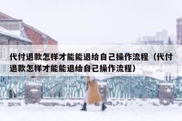 代付退款怎样才能能退给自己操作流程（代付退款怎样才能能退给自己操作流程） 第1张