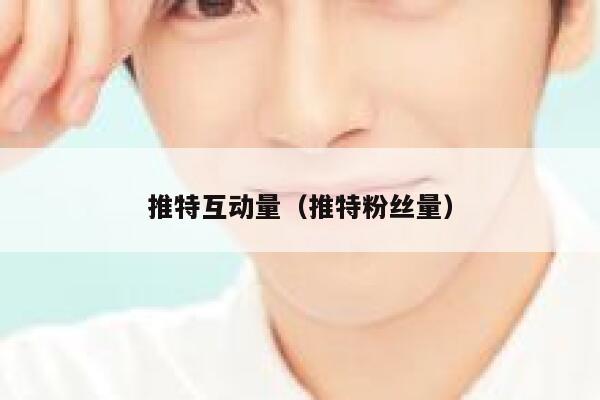 推特互动量（推特粉丝量） 第1张