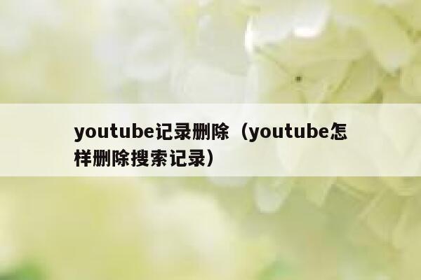 youtube记录删除（youtube怎样删除搜索记录） 第1张