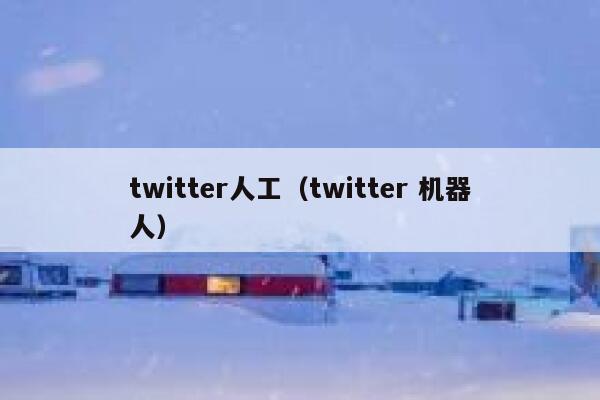twitter人工（twitter 机器人） 第1张