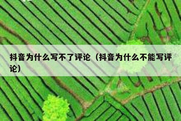 抖音为什么写不了评论（抖音为什么不能写评论） 第1张