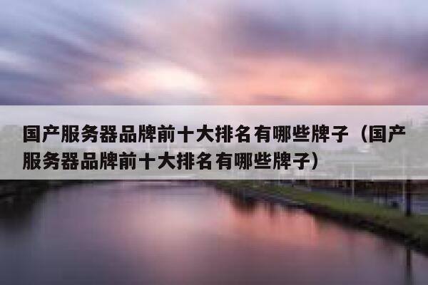 国产服务器品牌前十大排名有哪些牌子（国产服务器品牌前十大排名有哪些牌子） 第1张