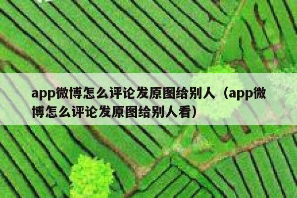 app微博怎么评论发原图给别人（app微博怎么评论发原图给别人看） 第1张