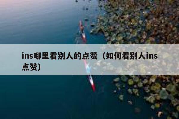 ins哪里看别人的点赞（如何看别人ins点赞） 第1张