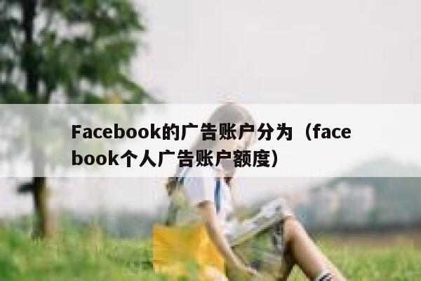 Facebook的广告账户分为（facebook个人广告账户额度） 第1张