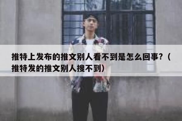 推特上发布的推文别人看不到是怎么回事?（推特发的推文别人搜不到） 第1张