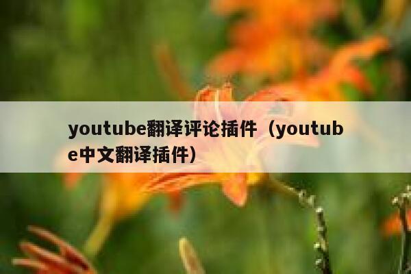 youtube翻译评论插件（youtube中文翻译插件） 第1张