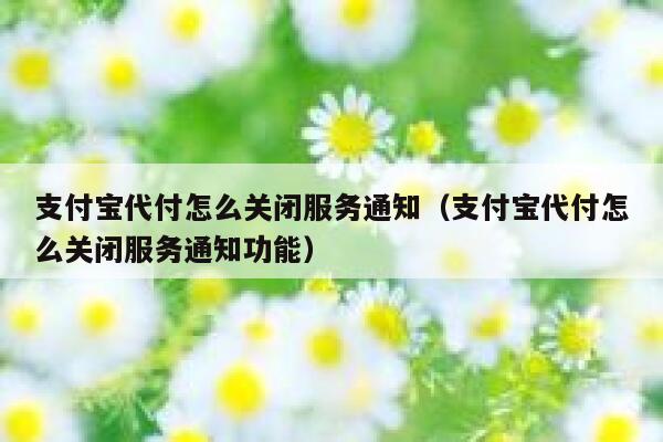 支付宝代付怎么关闭服务通知（支付宝代付怎么关闭服务通知功能） 第1张