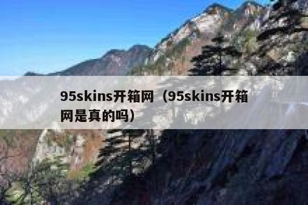 95skins开箱网（95skins开箱网是真的吗） 第1张