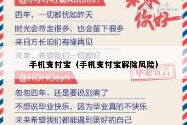手机支付宝（手机支付宝解除风险） 第1张