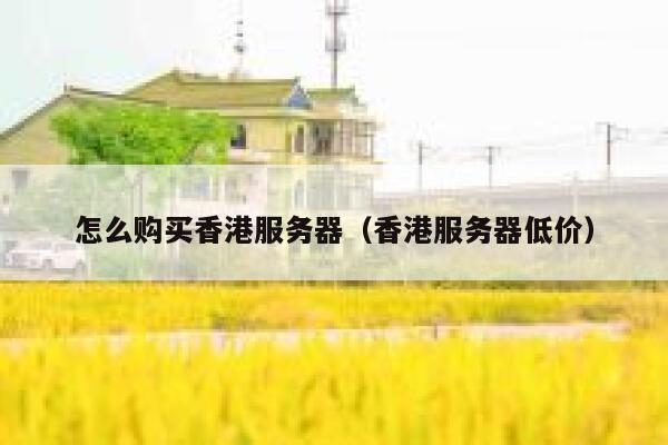 怎么购买香港服务器（香港服务器低价） 第1张