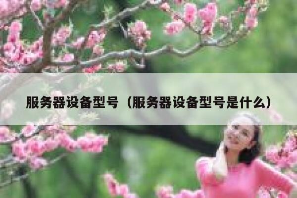 服务器设备型号（服务器设备型号是什么） 第1张