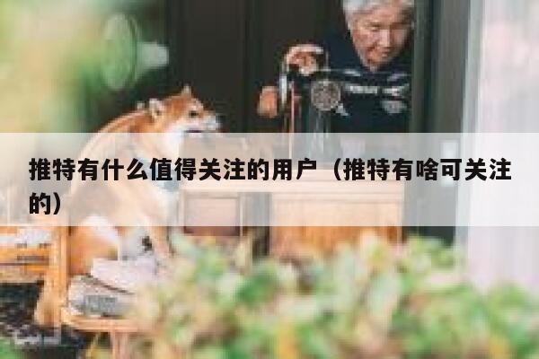 推特有什么值得关注的用户（推特有啥可关注的） 第1张
