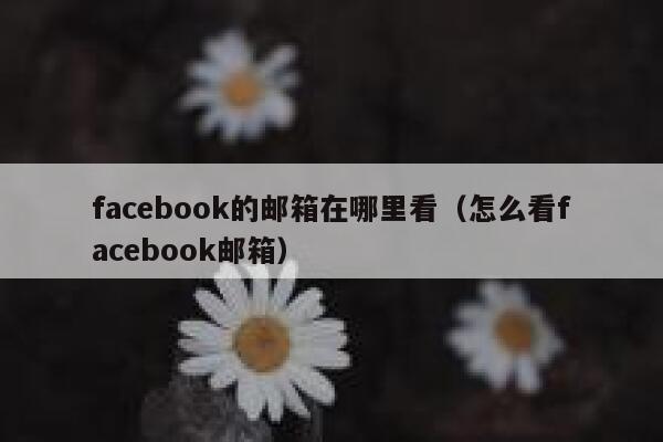 facebook的邮箱在哪里看（怎么看facebook邮箱） 第1张