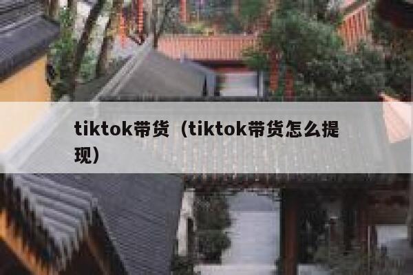 tiktok带货（tiktok带货怎么提现） 第1张
