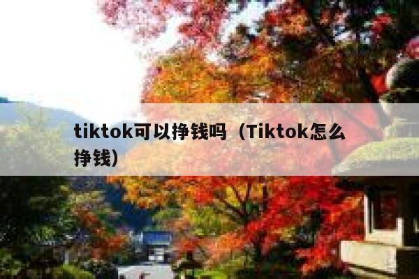 tiktok可以挣钱吗（Tiktok怎么挣钱） 第1张
