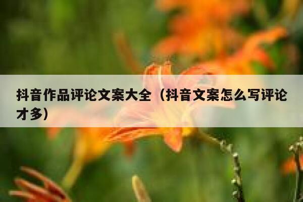 抖音作品评论文案大全（抖音文案怎么写评论才多） 第1张