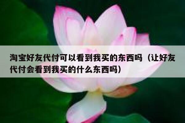 淘宝好友代付可以看到我买的东西吗（让好友代付会看到我买的什么东西吗） 第1张