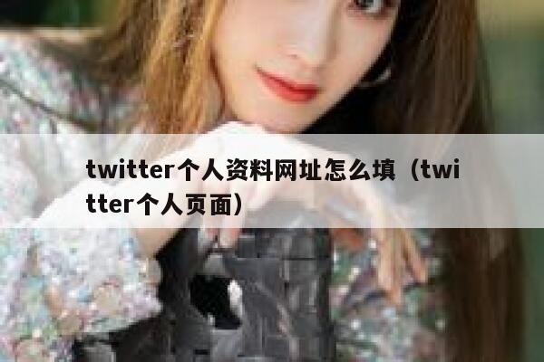twitter个人资料网址怎么填（twitter个人页面） 第1张
