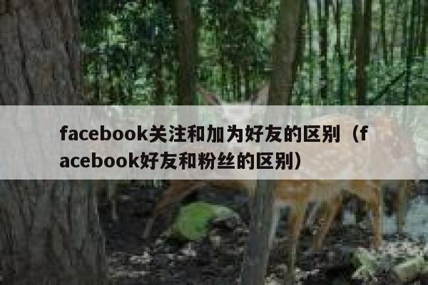 facebook关注和加为好友的区别（facebook好友和粉丝的区别） 第1张