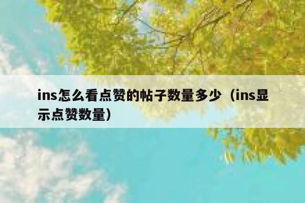 ins怎么看点赞的帖子数量多少（ins显示点赞数量） 第1张