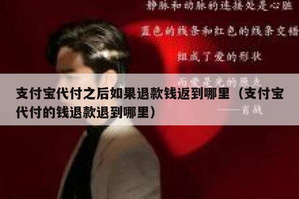 支付宝代付之后如果退款钱返到哪里（支付宝代付的钱退款退到哪里） 第1张