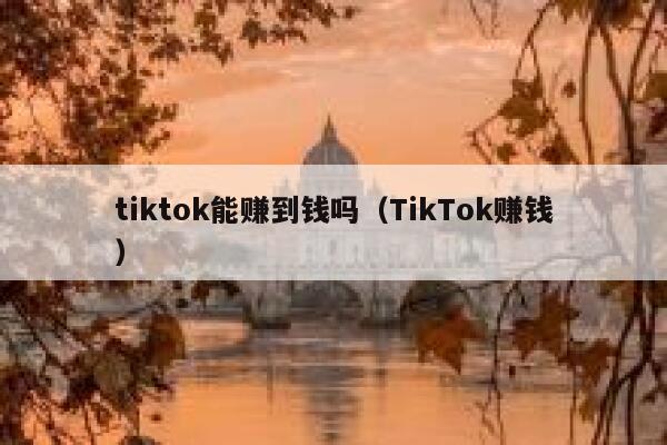 tiktok能赚到钱吗（TikTok赚钱） 第1张