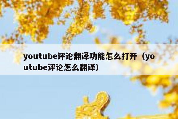 youtube评论翻译功能怎么打开（youtube评论怎么翻译） 第1张