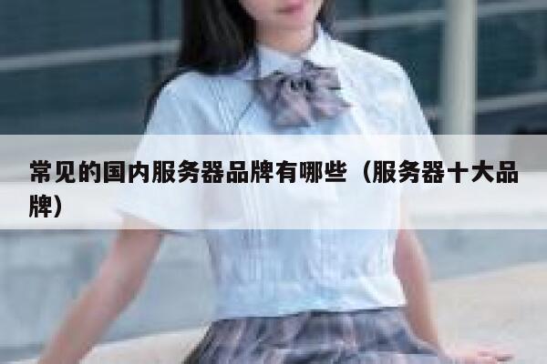 常见的国内服务器品牌有哪些（服务器十大品牌） 第1张