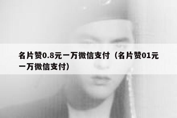 名片赞0.8元一万微信支付（名片赞01元一万微信支付） 第1张