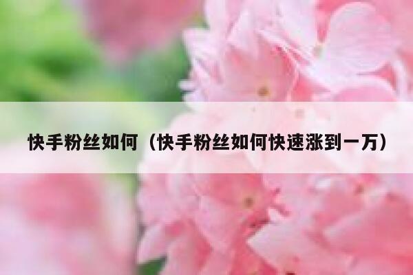 快手粉丝如何（快手粉丝如何快速涨到一万） 第1张