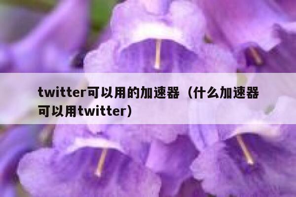 twitter可以用的加速器（什么加速器可以用twitter） 第1张