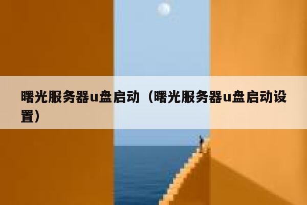 曙光服务器u盘启动（曙光服务器u盘启动设置） 第1张