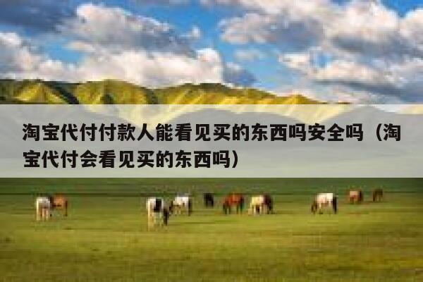 淘宝代付付款人能看见买的东西吗安全吗（淘宝代付会看见买的东西吗） 第1张