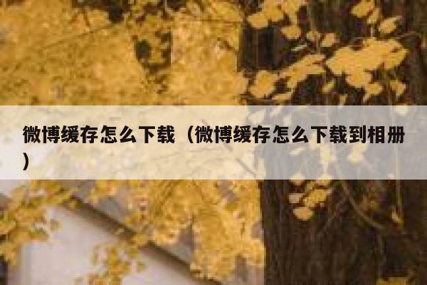微博缓存怎么下载(微博缓存怎么下载到相册) 第1张 微博缓存怎么下载(微博缓存怎么下载到相册) 第1张