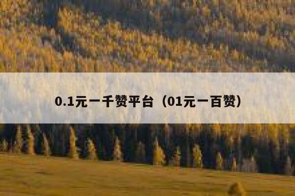 0.1元一千赞平台(01元一百赞) 第1张 0.1元一千赞平台(01元一百赞) 第1张