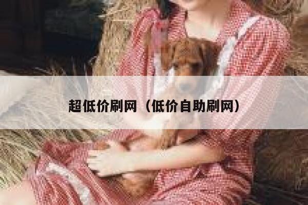 超低价刷网（低价自助刷网） 第1张