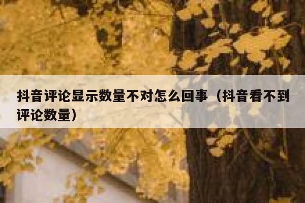 抖音评论显示数量不对怎么回事(抖音看不到评论数量) 第1张 抖音评论显示数量不对怎么回事(抖音看不到评论数量) 第1张