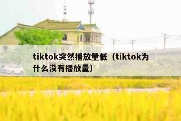 tiktok突然播放量低（tiktok为什么没有播放量） 第1张