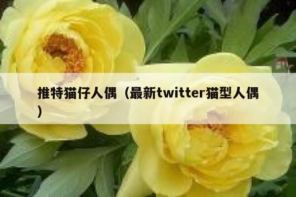 推特猫仔人偶（最新twitter猫型人偶） 第1张