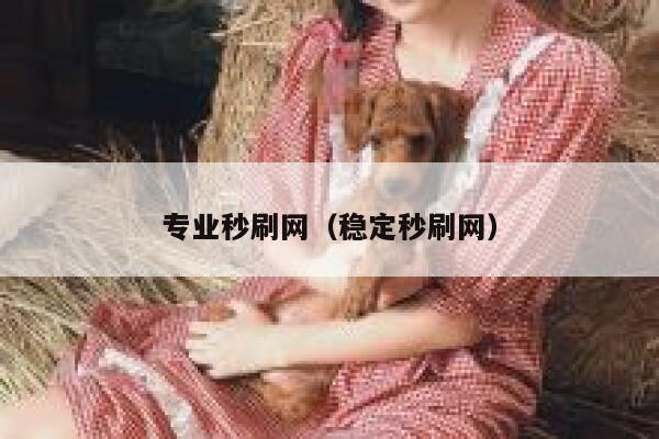 专业秒刷网（稳定秒刷网） 第1张