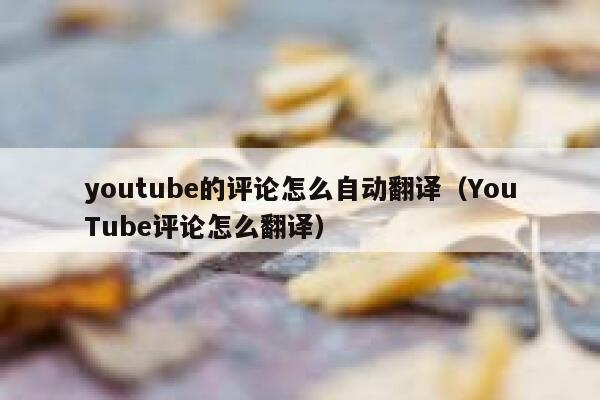 youtube的评论怎么自动翻译（YouTube评论怎么翻译） 第1张