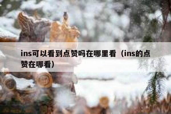 ins可以看到点赞吗在哪里看（ins的点赞在哪看） 第1张