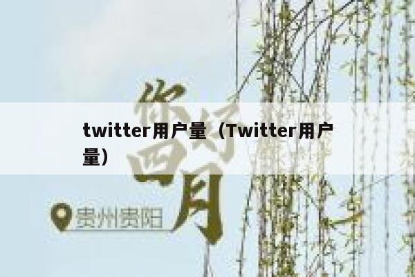 twitter用户量（Twitter用户量） 第1张