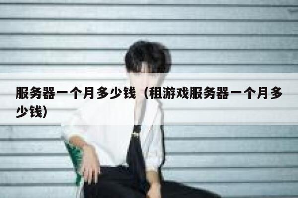 服务器一个月多少钱（租游戏服务器一个月多少钱） 第1张