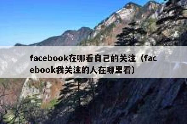 facebook在哪看自己的关注（facebook我关注的人在哪里看） 第1张