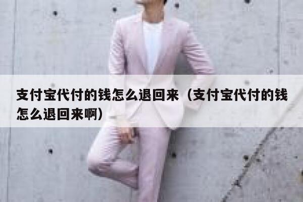 支付宝代付的钱怎么退回来（支付宝代付的钱怎么退回来啊） 第1张