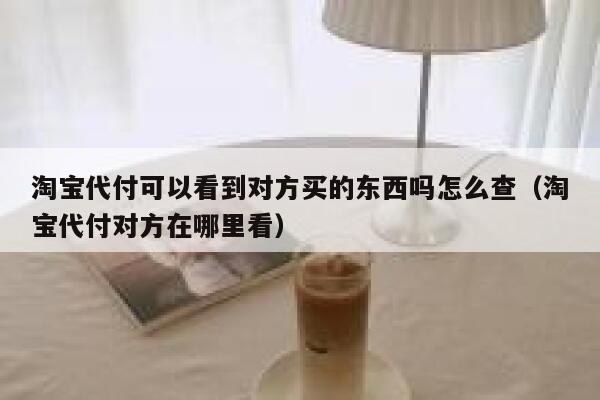 淘宝代付可以看到对方买的东西吗怎么查（淘宝代付对方在哪里看） 第1张
