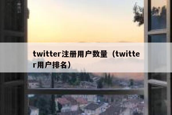 twitter注册用户数量（twitter用户排名） 第1张